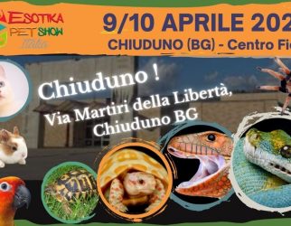 Esotika_Aprile22_CentroFieraChiuduno